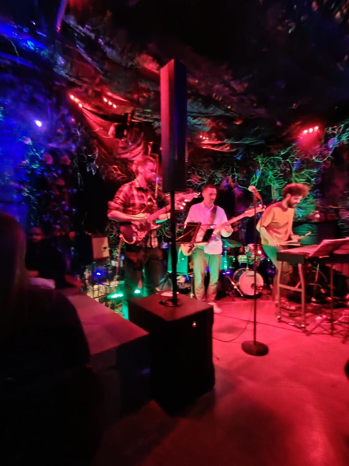 The Jazzholes live lavalla